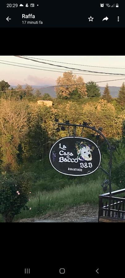 La Casa Di Bacco B&B Lerma 외부 사진